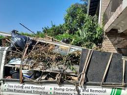 Best Dumpster Rental Services  in South Boston, VA