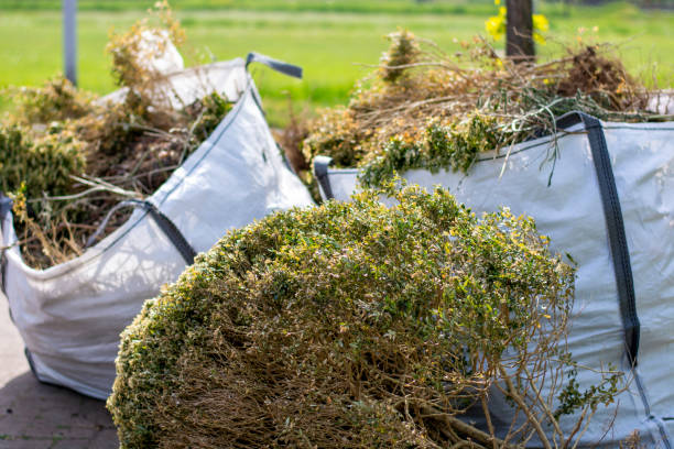 Best Shed Removal  in South Boston, VA